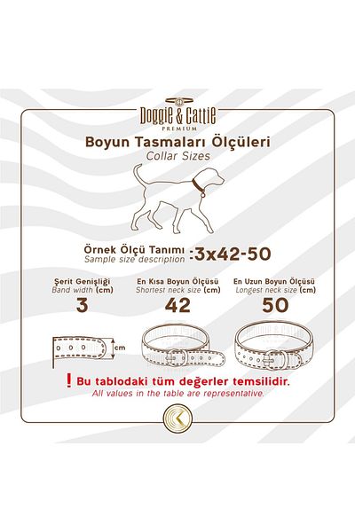 kapsulavm Series Woven Dog Collar 4X57-65Cm Red