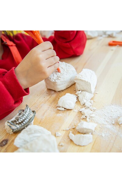 Arkerobox Mount Rushmore Educational Excavation Set - Comfortable and Stylish Design