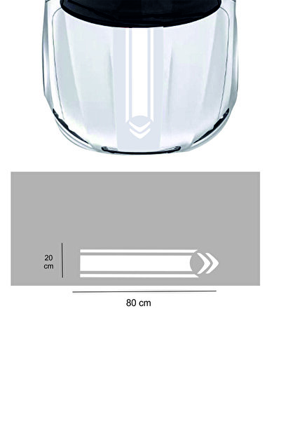 Generic Brand Custom New Compatible Accessory Auto Hood for Citroen Special N...