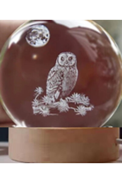 Genel Markalar Dekoratif BAYKUŞ Tasarımlı Ahşap altlıklı Işıklı Cam Küre Büyü...