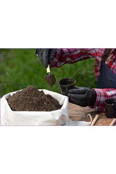 Mimoza Sardunya Ceylangözü Sakız Sardunya Itır İçin Bitki Toprağı 10 kğ