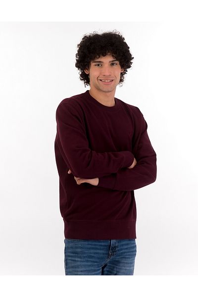AMERICAN EAGLE Ae Fleece Crew Neck Sweatshirt - Model U-0191-1750-613