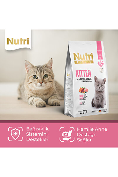 Nutri Feline Kitten Taze Somonlu ve Glutensiz Yavru Kedi Maması 2 kg