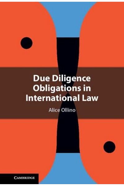 Cambridge Due Diligence Obligations In International Law