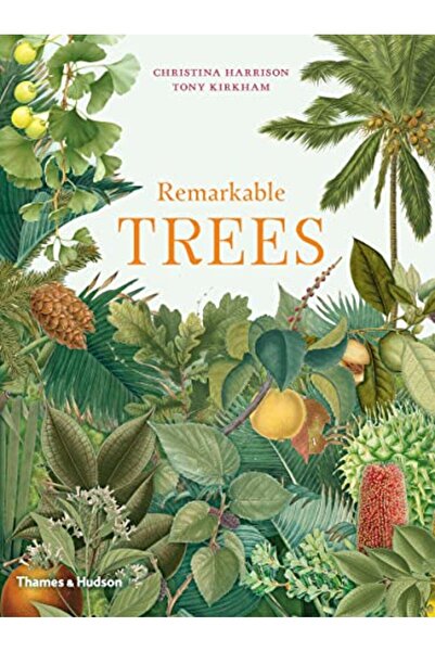 Hachette أشجار رائعة