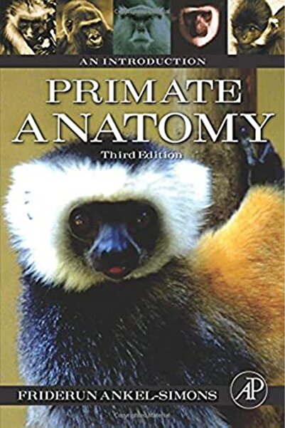 Elsevier Primate Anatomy An Introduction