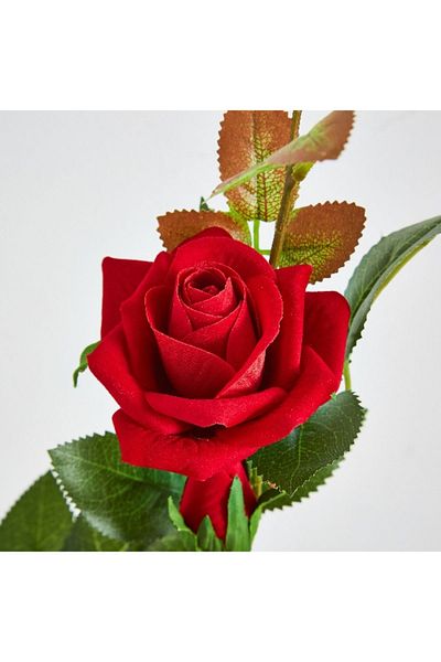Home Box Aria 3-Heads Velvet Rose Stem - 76 cm