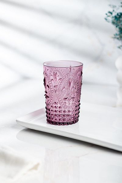 EWs Acrylic Plum Single Short Cup & Water Soft Drink Coffee Side Cup 400 ml (Not Glass)