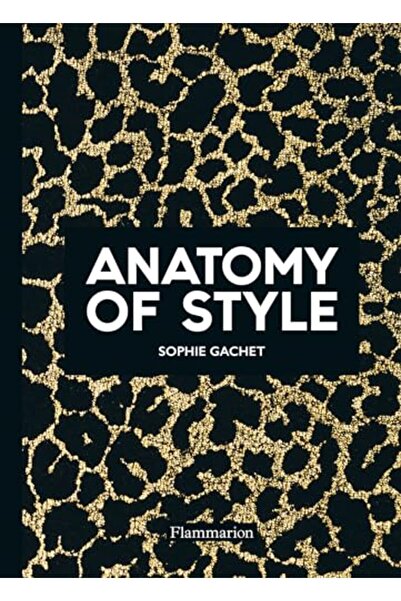 Hachette تشريح الأسلوب