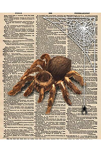 Jarir Marketing Co سيجار الديناصورات