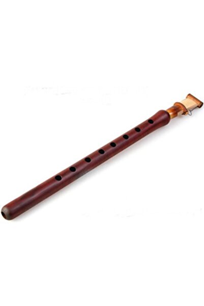 Genel Markalar Profesyonel Erik Ağacı Duduk Re - 30.9 Cm + Profesyonel Kamış Hediye