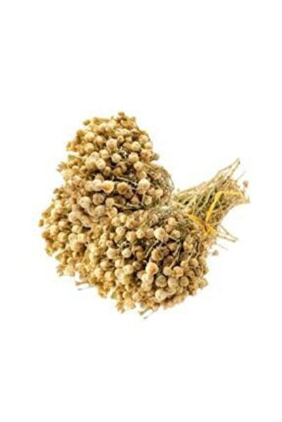 Sakız Ağacı Üzerlik Otu 3 Demet