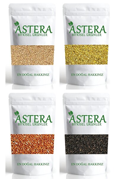 ASTERA 250 Gr Ak Darı + 250 Gr Sarı Darı + 250 Gr Kırmızı Darı + 250 Gr Nijer Tohumu