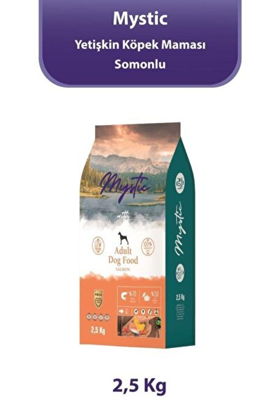 Mystic Somonlu Yetişkin Köpek Maması 2.5 Kg