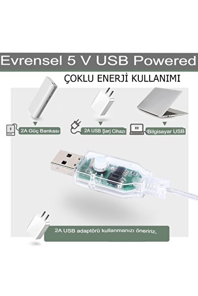 Reidan Led 3mx3m ( 300ledli ) Kumandalı 8 Fonksiyon Usb Perde Peri Led Işık Düğün Parti Için Ev Yatak Odası