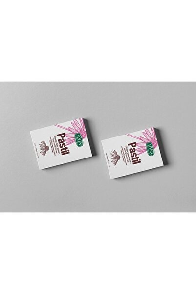 Alvin Ekinezya, Çinko, Vitamin C Içeren Pastil Takviye Edici Gıda, 12 Adet Pastil