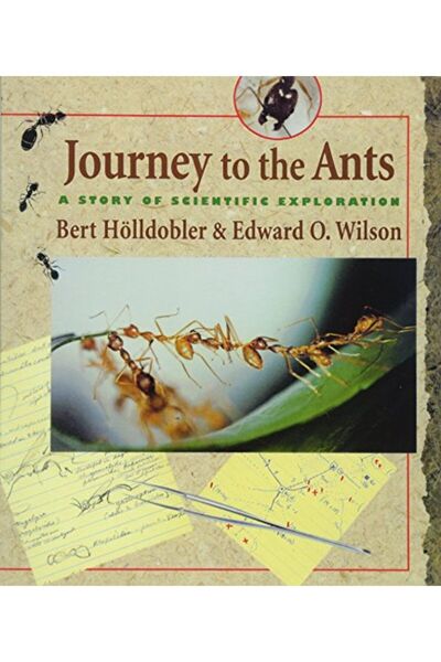 Wiley رحلة إلى النمل قصة استكشاف علمي