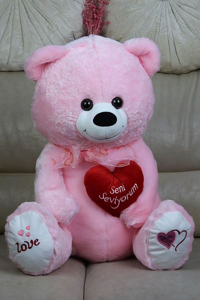 moryconcept Cute Pink Plush Teddy Bear with Heart 50 cm Quality Lover Gift