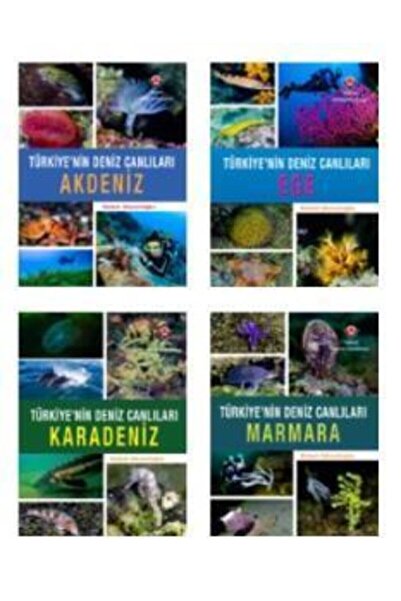Tübitak Yayınları Türkiye'nin Deniz Canlıları Ege - Akdeniz - Karadeniz - Mar...