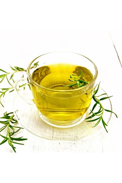 YEŞİLİMARKET Biberiye Bitkisi Çiçek Açan Cins 25- 35cm Aromatik (rosmarinus Officinalis) 14cm Saksıda