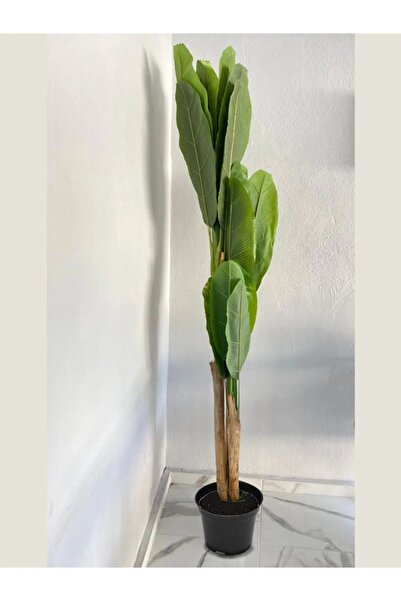 VEAL STORE Yapay Ağaç Muz Ağacı Yapay Starliçe 220cm