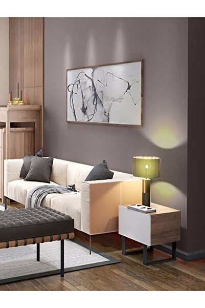 Bi Boya Tek Duvar Boyama Seti Moka