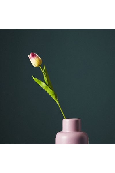 Home Box Aria Tulip Flower Stem - 36 cm