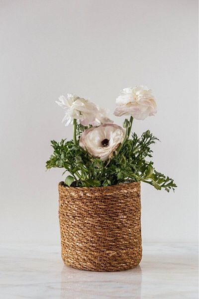 Arma House Natural Round Handmade Wicker Flower Pot Basket and Organizer with Nylon Inside 10*11 cm