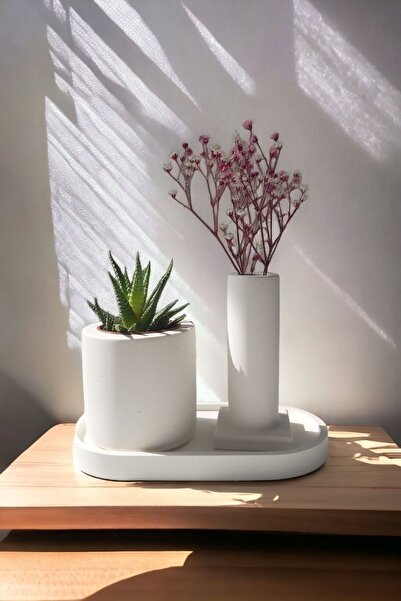 ALLEZA HOME Dekoratif Mini Kuru Çiçek Vazosu Sukulent Saksısı Stantlı Set