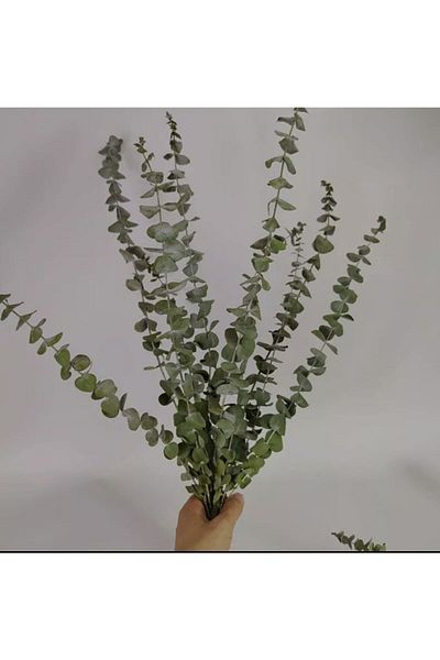 Basic Creation Συγκρατημένος Ευκάλυπτος Πράσινο Χρώμα Ζωντανό Αρωματικό Βάζο Λουλούδι που δεν χυθεί