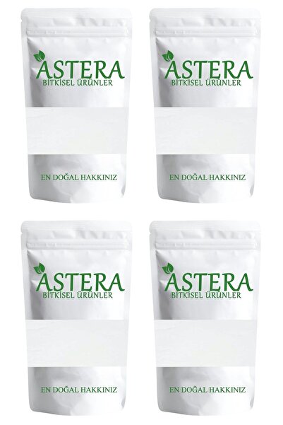 ASTERA 1 Kg Çamaşır Sodası + 1 Kg Karbonat + 1 Kg Boraks + 100 Gr Limon Tuzu ...