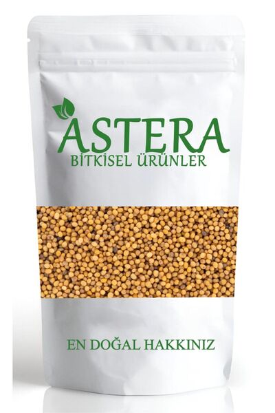 ASTERA 500 Gr Sarı Hardal Tohumu