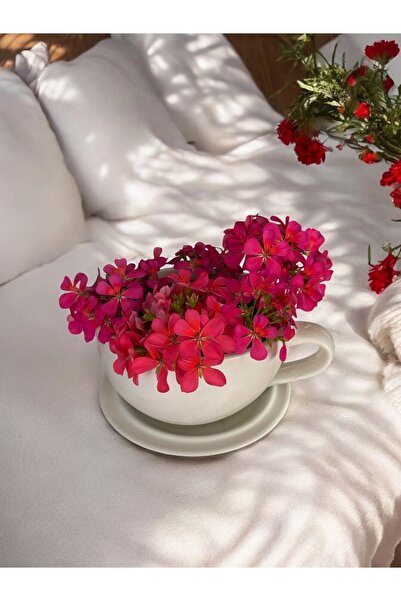 Genel Markalar El Yapımı Beton Büyük Fincan Saksı, Şık ve Modern Dekoratif Bitki Saksısı