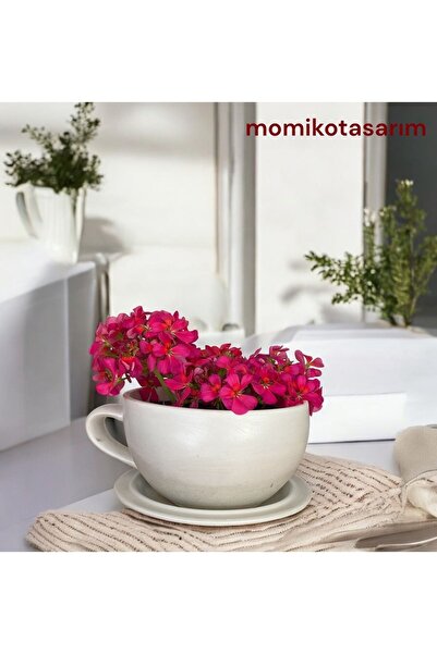 Genel Markalar El Yapımı Beton Büyük Fincan Saksı, Şık ve Modern Dekoratif Bitki Saksısı
