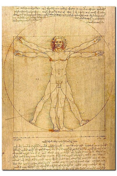 Cakatablo Ahşap Tablo Leonardo Da Vinci Insan Anatomisi Görseli (50x70 Cm Boyut)