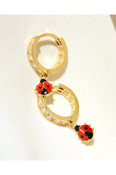 Karadeniz Kuyumculuk Uğur Böceği Halka Küpe (14 Ayar)