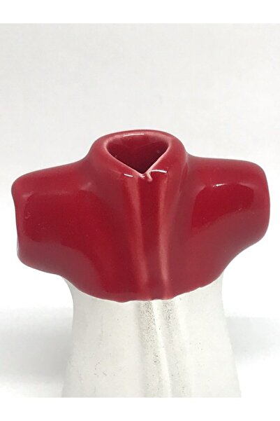 ÇiniSeramikBoyaları Koyu Kırmızı Çini & Seramik Sır Altı Toz Boya (pigment) 50gr