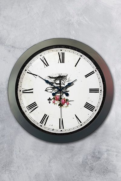 Kasva Concept Gift 36 cm Chrome Metal Wall Clock with Bird
