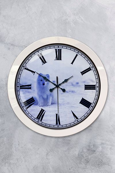 Kasva Concept Gift 36 cm White Metal Animal Wall Clock
