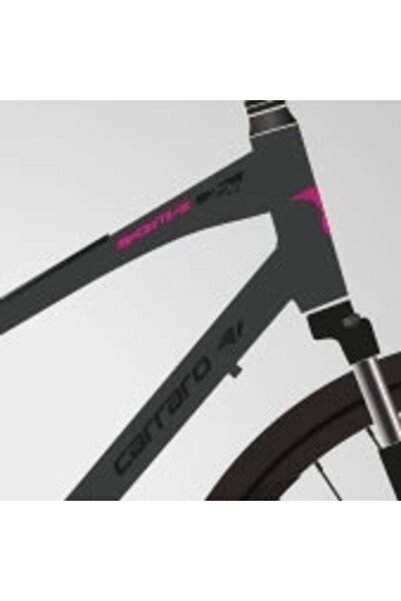 Carraro Sportive 226 HD Disk Fren 24 Vites 28 Jant Şehir Bisikleti Antrasit S...