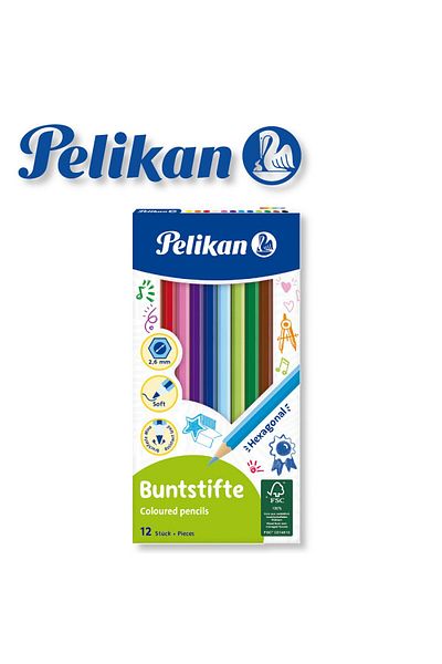 Pelikan Set of 12 Dry Paint Pens - Bs12ln