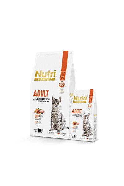 Nutri Canin Nutri Feline Adult Somon Etli 2kg Yetişkin Kedi Maması