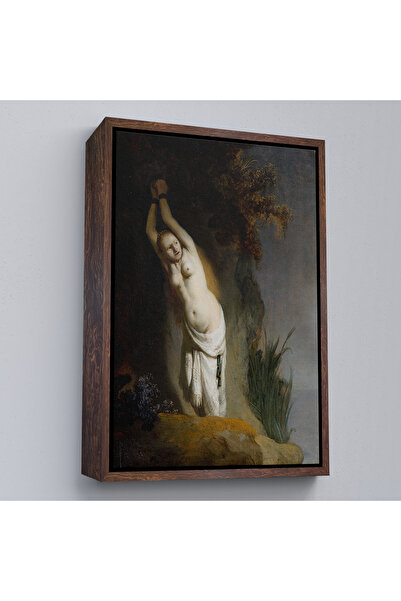 Oxyteez Rembrandt Van Rijn cu rama din lemn - Pictura Andromeda-8062