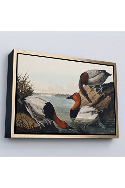 Home John James Audubon Ducks Painting with Wooden Frame-7030