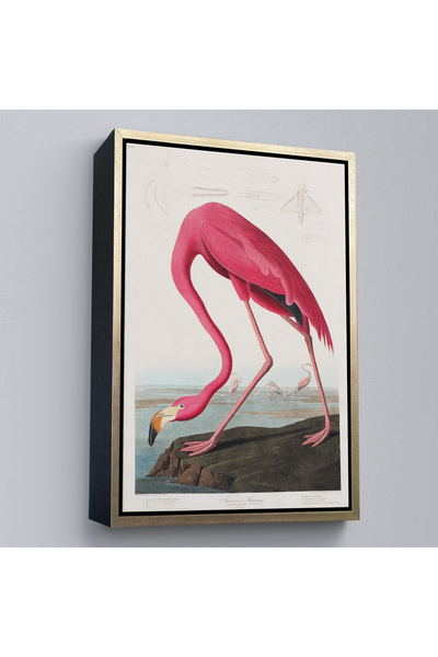 N NOXXO Wood Framed John James Audubon - American Flamingo Painting-7301