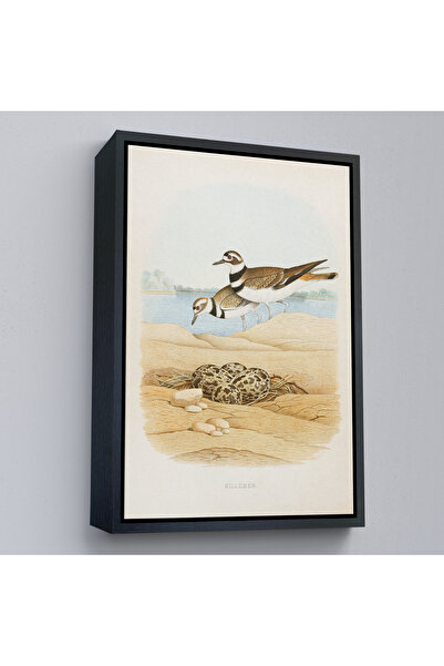 Oxyteez Edwin L. Sheppard cu rame din lemn - Pictură ucigaș - Killdeer-7338