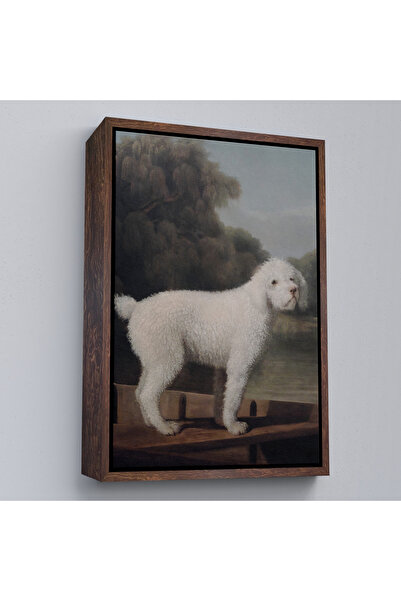 Home Pictură George Stubbs Pudel alb cu cadru din lemn-8034
