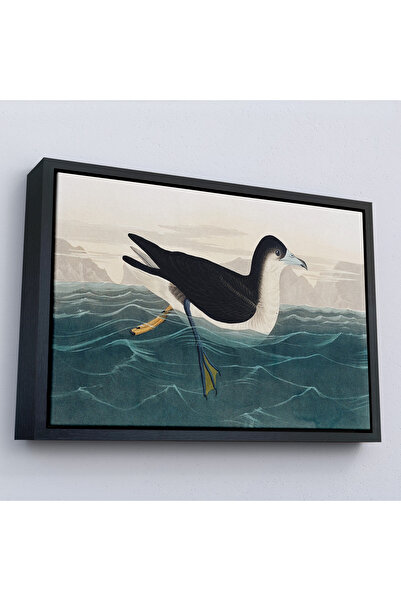 Oxyteez Robert Havell cu rame din lemn, John James Audubon Pictură de pasăre ...