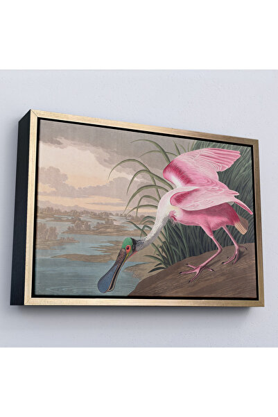 Oxyteez John James Audubon cu cadru din lemn - Pictură Roz Spoonbill-7120