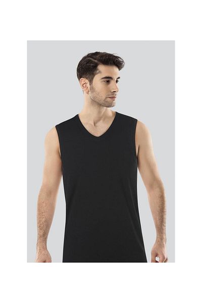 Anıt 1205 مشروط على شكل حرف V